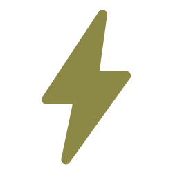 Lightning Bolt Icon in Woodland Green